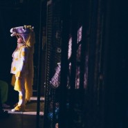 Акция «Театральная ночь - 2019» в Уфе фотографии