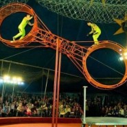 Большой Новосибирский Цирк «Золотой Дракон» фотографии
