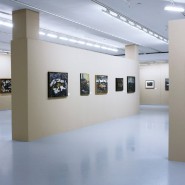 Выставка Александры Железновой. фотографии
