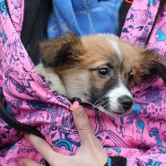 Фото: gorodufa.ru