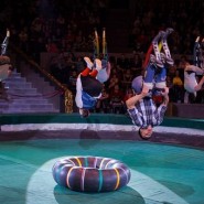 Премьера циркового шоу «Гиппопотамус» фотографии