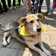 Фото: gorodufa.ru