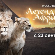 Представление Московского цирка «Легенды Африки» фотографии