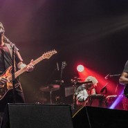 Концерт Dire Straits 2020 фотографии