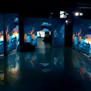 Выставка «Айвазовский — Ожившие полотна» фотографии