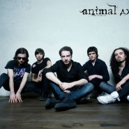Концерт группы «Animal ДжаZ» фотографии