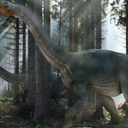 Образовательная программа «Время гигантов: когда динозавры правили Землей» фотографии