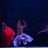 Фото: vk.com/poddojdem