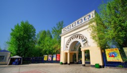 День городских сообществ 2024
