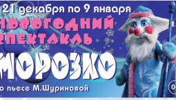 Представление у Новогодней ёлки и спектакль «Морозко»
