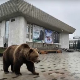 Акция «Бөрйән - башҡортомдоң рух бишеге» 2025