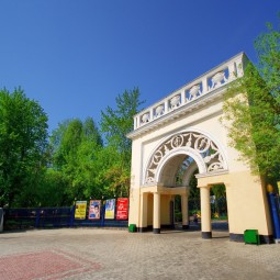 День городских сообществ 2024