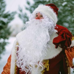 Новогодняя сказка «Дед Мороз и Врата времен» 2023-2024
