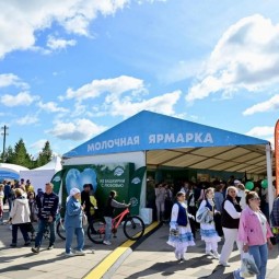 Семейный фестиваль «Молочная страна» 2026