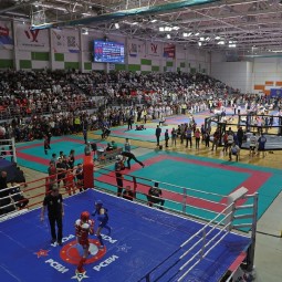 Открытые Евразийские Игры боевых искусств 2026