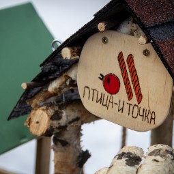 Городской конкурс кормушек для птиц 2025