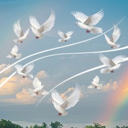 Спектакль «Любовь и голуби»