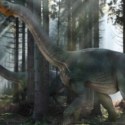 Образовательная программа «Время гигантов: когда динозавры правили Землей»