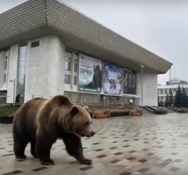 Акция «Бөрйән - башҡортомдоң рух бишеге» 2025