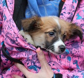 Акция «Ищу человека» 2026