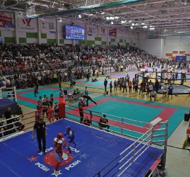 Открытые Евразийские Игры боевых искусств 2026