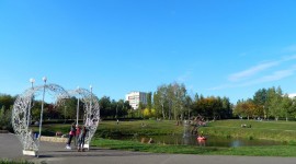 Заголовок статьи