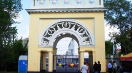 Заголовок статьи