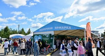 Семейный фестиваль «Молочная страна» 2026