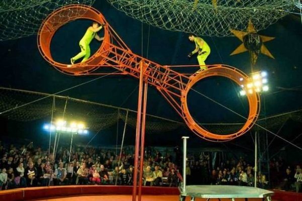 Большой Новосибирский Цирк «Золотой Дракон»