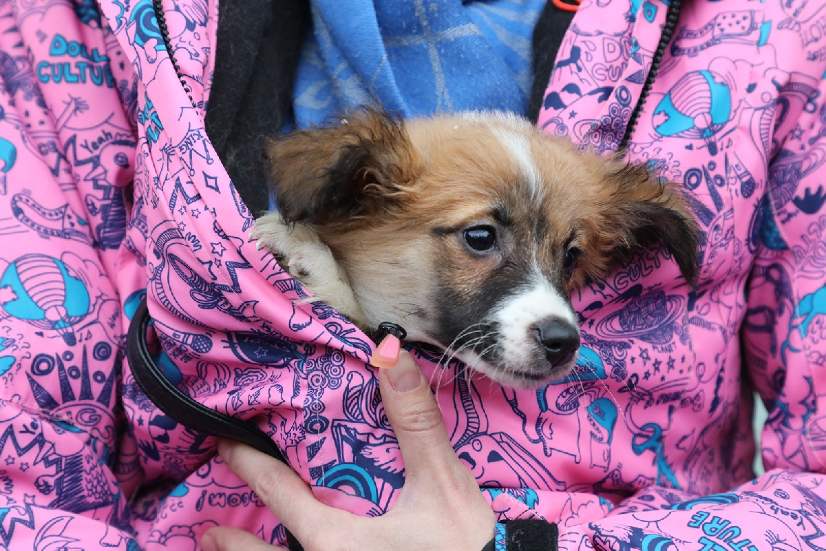 Фото: gorodufa.ru