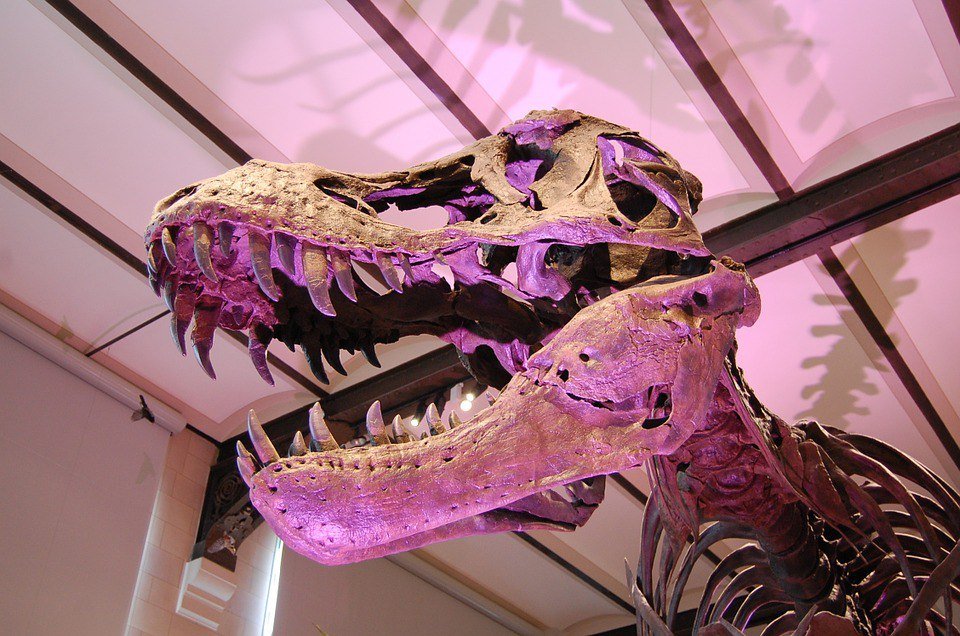 Программа «Время гигантов: когда динозавры правили Землей» в Планетарии